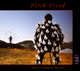 Carátula de 'Delicate Sound of Thunder', Pink Floyd (1988)