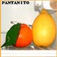 Carátula de 'Pantanito', Pantanito (2004)