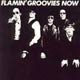 Carátula de 'The Flamin' Groovies Now', The Flamin' Groovies (1978)