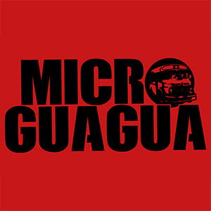 Microguagua (ampliar foto...)
